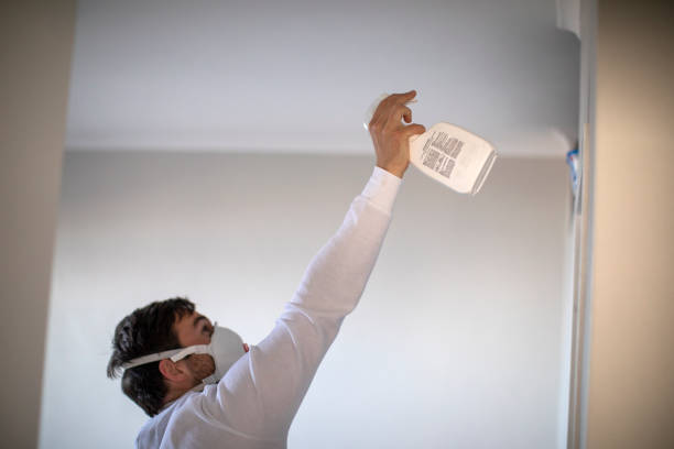 Best Toxic Mold Removal  in Latimer, MS