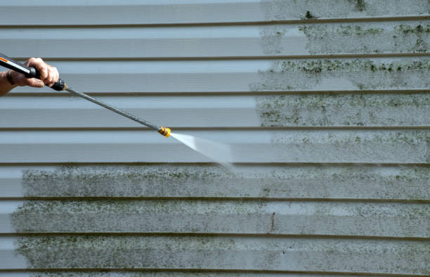 Best Home Mold Removal  in Latimer, MS