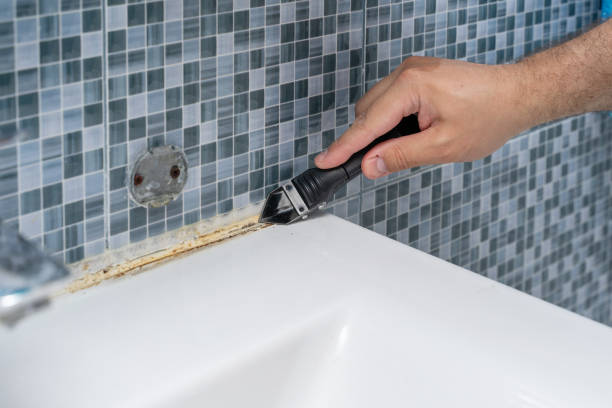 Latimer, MS Mold Removal Pros